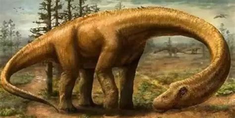 13种从未灭绝的史前动物！最年长已4.45亿年，相貌几乎没有改变 - 知乎