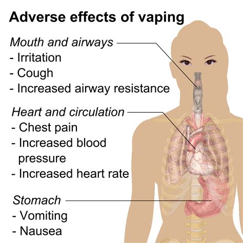 Sold as Safe — E-Cigs Cause Toxicity, Oxidative Stress, and Inflammation in Lung Cells ...