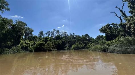 Texas Parks and Wildlife Department clears Greens Bayou in Houston as a paddling trail for ...