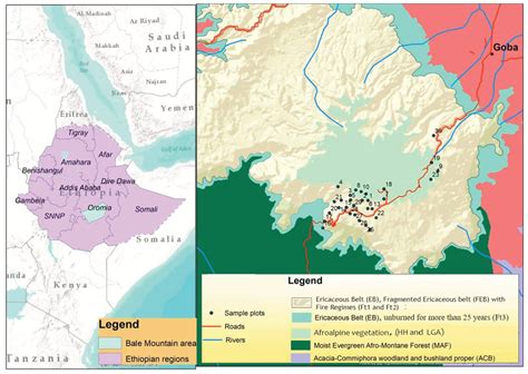 Soil Organic Matter Dynamics in the Ericaceous and Afroalpine Belts of ...