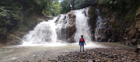 Image result for Program Comparison Chart