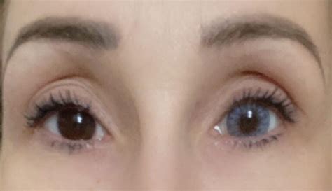 Image result for Contacts Color Blue