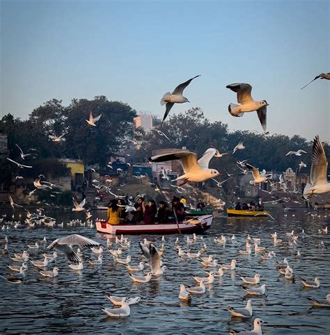 DASASWAMEDH GHAT (2026) All You Need to Know BEFORE You Go (with Photos ...