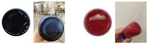 Development of Water-Based Inks with Bio-Based Pigments for Digital ...