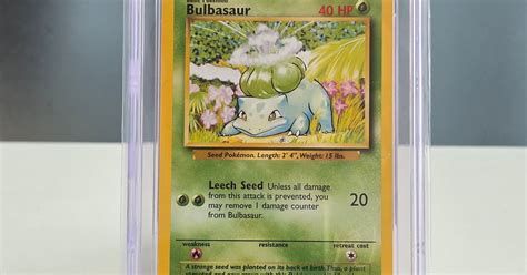 CGC 9.5 Bulbasaur Base Set 1999 | Pikadex