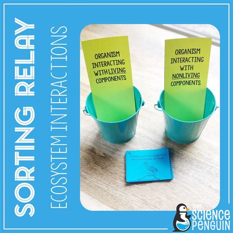 Kular Science Project Sort 的图像结果