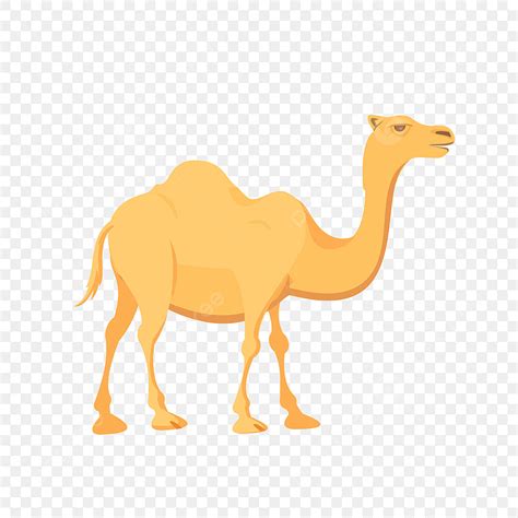 Camel Vector PNG, Vector, PSD, and Clipart With Transparent Background for Free Download | Pngtree