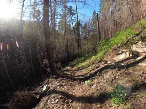 Graham Creek, Idaho - GPS Trail Map, Conditions & Difficulty | onX Offroad