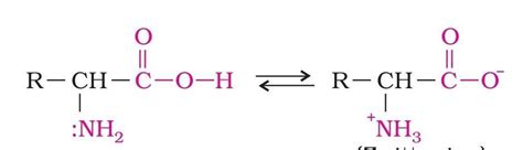 Zwitter ion is formed by: | Chemistry Questions A.aniline B.acetanilide ...