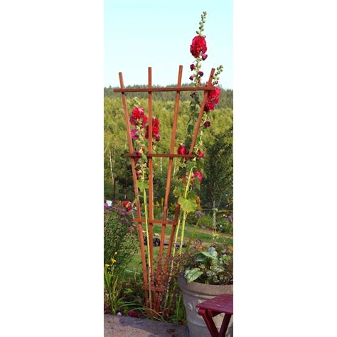 Garden Architecture 32-in W x 72-in H Brown Stain Wood Traditional ...