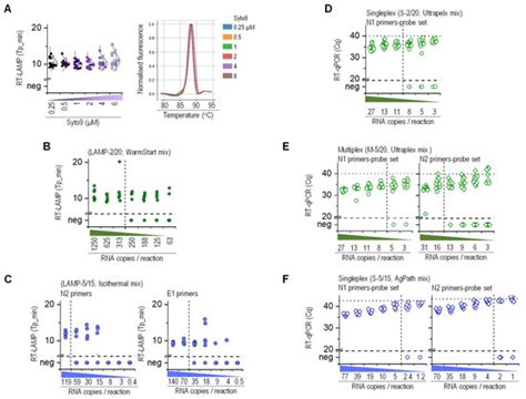 Robust Saliva-Based RNA Extraction-Free One-Step Nucleic Acid ...