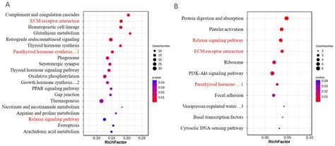 Alternative Splicing Isoforms of Porcine CREB Are Differentially ...