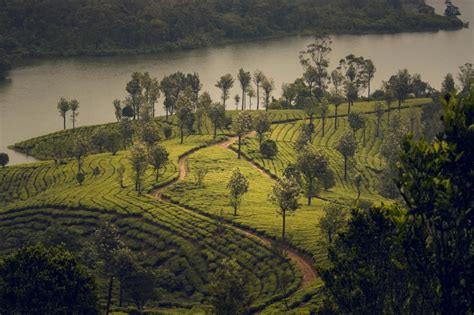 Image result for Assam Language