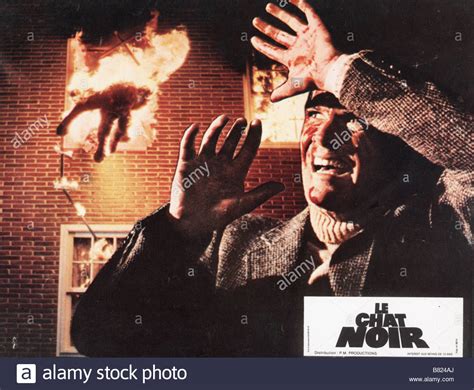 LE CHAT NOIR Year: 1981 - Black Cat Year: Gatto nero - Year: 1981 - Director: Lucio Fulci Stock ...