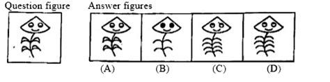 In the left of each question there is one question figure and to the ...