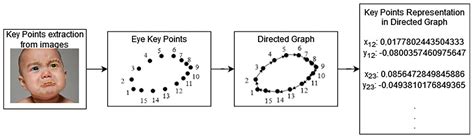 Sentiment Analysis of Meme Images Using Deep Neural Network Based on ...