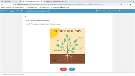 plz help me and hurry - Brainly.in