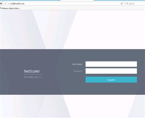 Image result for NetScaler