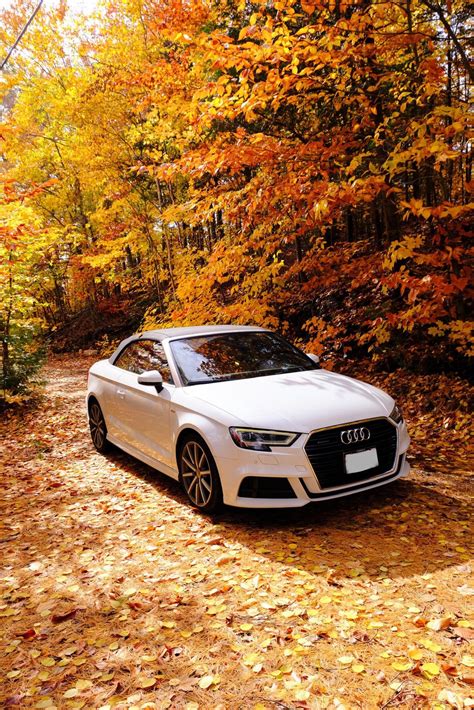 Current gen S3 vs S4 : r/Audi