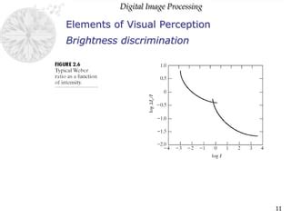 Image result for Visual Perception of Brightness
