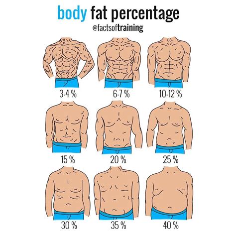 Body Fat Percentage Pictures of Men & Women - BuiltLean | Body fat ...
