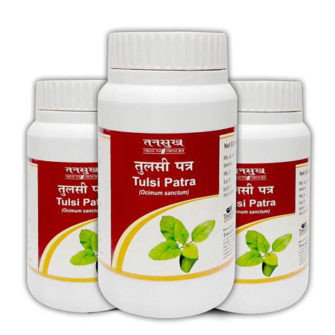 Tansukh Tulsi Powder Churna, Tulsi Patta (Leaf) Powder | 100 gm - Pack ...