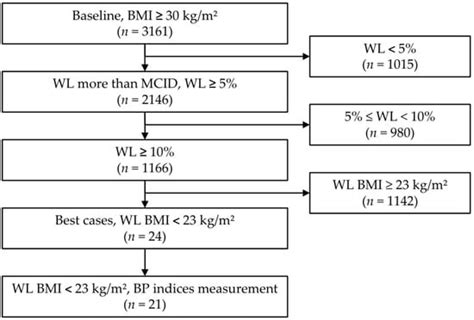 Herbal Medicine and Lifestyle Modifications for People with Obesity: A ...