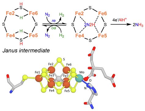 Comparing Molecular Mechanisms in Solar NH3 Production and Relations ...