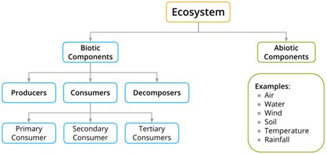 Biotic and abiotic factors — lesson. Science State Board, Class 6.