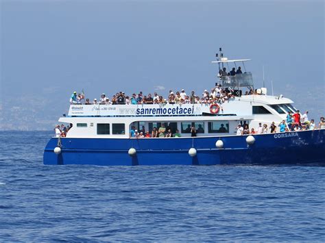 WHALEWATCHING GENOVA E IMPERIA (2026) All You Need to Know BEFORE You ...