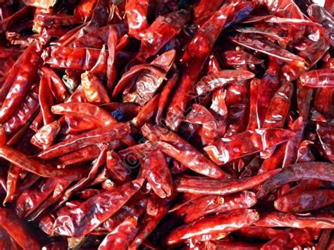 Red Chilli suppliers in Tamil Nadu | Nondual Xim | Tamil Nadu ...