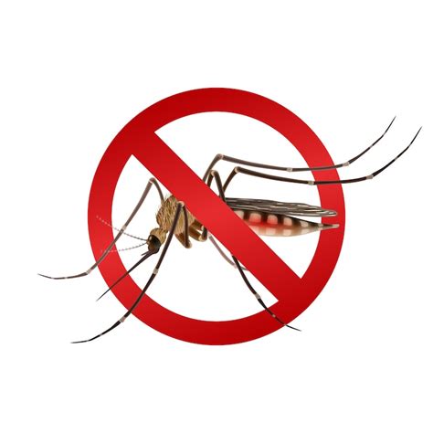 Mosquito Images - Free Download on Freepik
