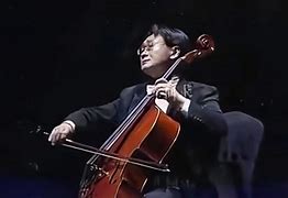 Image result for cellist 大提琴家