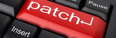 Patching Software 的图像结果
