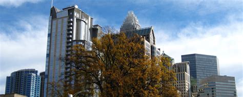 Download wallpaper 2560x1024 tree, buildings, architecture, sky ...