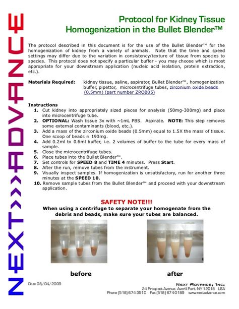 Tumor Tissue Homogenization Protocol 的图像结果