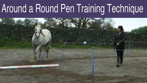 Around a Round Pen - for easy leading and lunging training! | Round pen ...