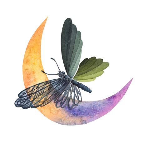 Premium Photo | Butterfly with moon watercolor illustration