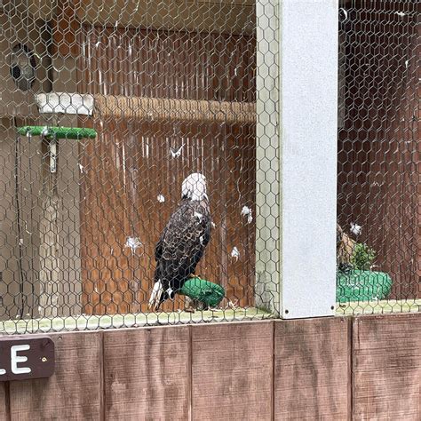 Tuckahoe State Park Campground | Ridgely, Maryland