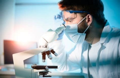 Biomedical Engineer Salary in 2025: Job Outlook & Pay | US News Best Jobs