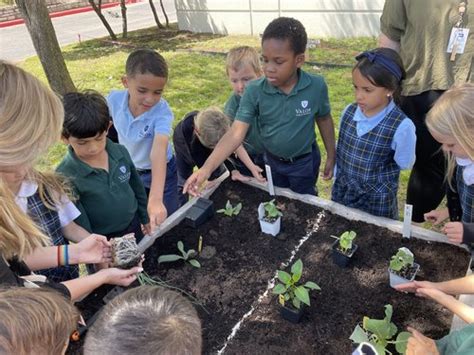 Valor North Austin | Tuition-Free Classical Charter School — Valor ...