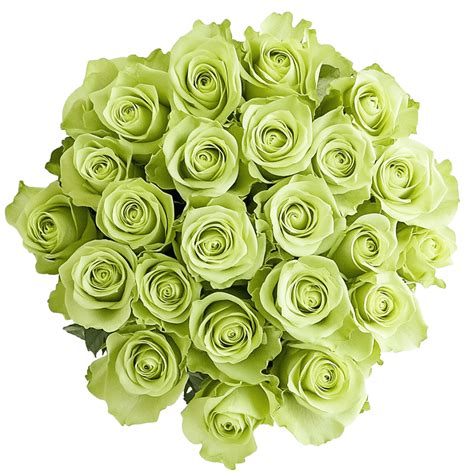 Flower Delivery 2 Dozen Green Roses Bouquets
