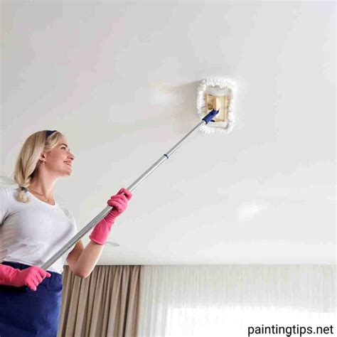 Textured Ceiling Removal 的图像结果