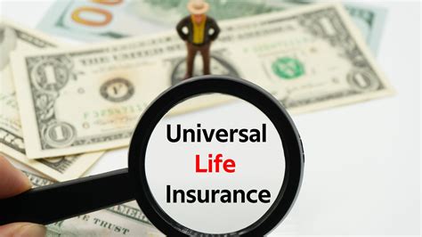 What Is Universal Life Insurance? Explained – Forbes Advisor INDIA