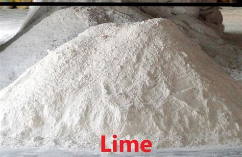 Lime Material 的图像结果
