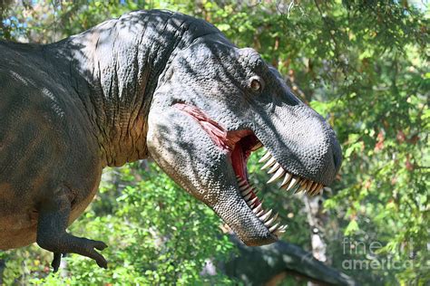 Image result for Dinosaur Using Computer Picture
