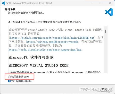 vs Code Downloader 的图像结果