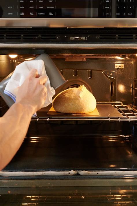 Image result for Baking Shell