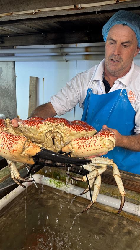 TOP Fish Tasmania (@topfishtasmania) • Instagram photos and videos