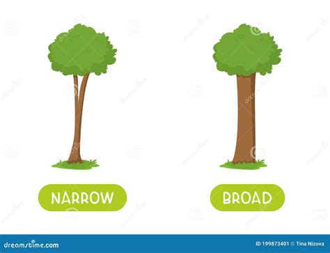 Modelo De Vetor De Cartão De Palavra NARROW E BROAD Antonyms Ilustração ...